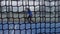 Slow motion through grid view of paddle tennis man playing on court outdoors