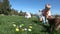 Slow motion of kids having fun gathering eggs at Easter hunt