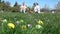 Slow motion of kids having fun gathering eggs at Easter hunt