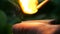 Slow motion of lighting a match. Close up of hands lighting a match. The wooden match is lighted from a box.