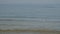 Slow motion of a lonely seagull in the Baltic sea.