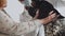 Slow motion. A male veterinarian in a white coat examines the teeth and ears of an old spotted spaniel kept by the owner