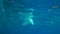 Slow motion, Massive plastic and other debris slowly drifts under surface of the blue ocean in the sun lights. Plastic garbage env