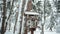 Slow motion nice wooden birdhouse or bird feeder and flying pigeons at cold snowy winter in forest or park
