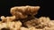 SLOW MOTION: Peeled walnut nuts fall on a heap
