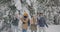 Slow motion portrait of students throwing snow and laughing enjoying winter in pine forest