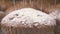 Slow motion powdered sugar pour on muffins close up