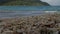 The slow motion of scenery at the beach shoreline in Malaysia