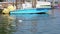 Slow Motion of seagull flight over water in canal of Venice with garbage bag