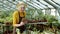 Slow motion of senior greenhouse worker counting plants during inventory working alone