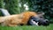 Slow motion - The shepherd lying on the grass and resting.