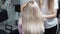 Slow-motion shooting of a long blond hair of a young girl, backside view