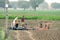 Slow motion shot of family of farmers in a harvested field with piles of collected carrots on a mat and filling and