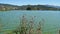 Slow motion shot of fishing pond and wildflowers