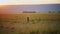 Slow Motion Shot of Hyena walking into sunset, orange glow, across wide open plains, African Wildlif