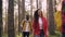 Slow motion of smiling young people walking in forest and looking around enjoying beautiful nature and fresh air on