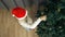 Slow motion top view shot. Young girl hangs golden ball on christmas tree. Girl in red Santa hat decorate christmas tree