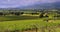 Slow motion of a tractor passing on countryside road between the vineyard fields &#scenic hills valley view&#