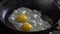 Slow Motion of two fried eggs cooked in frying pan for early breakfast. Food