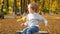 Slow motion video of happy smiling toddler boy sitting on stump at park and throwing up autumn leaves