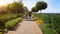 Slow motion video of young couple with bunch of colorful balloons walking at park