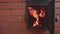 Slow motion view of flame in furnace with door opened. Slow motion view