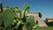 Slow motion view of the fortress of Santa Severa from behind prickly pear plant