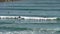 Slow motion view of a group of surfers in the mediterranean sea coast of sitges.