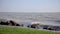 Slow motion waves on the beach in a windy wave in Hungary, Lake Balaton