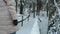 Slow motion woman going on wooden bridge over river in forest