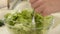 Slow motion of woman hands prepared fresh vegetarian salad