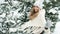 Slow motion of woman spinning in winter frosty forest outdoors