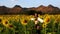 Slow-motion of woman walking and enjoying with sunflower field at Kao Jeen Lae in Lopburi, Thailand