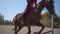 Slow motion of a young Caucasian girl in pink clothes and horse riding helmet jumps the barrier on brown graceful horse