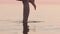 Slow motion young female legs standing like flamingo in shallow water on a beach at sunset