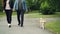 Slow motion of young man walking in the park with his girlfriend and dog, low shot of people`s legs and beautiful pet