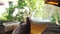 Slow Motion of Young Person Pouring Beer from Bottle into a Glass at the Backyard. POV