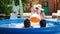 SLow motion of young woman in hat relaxing in pool while two teenage girls jumping in water and splashing. Family summer