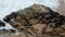 Slow moving aerial drone shot over rocks with waves crashing on beach in Portugal