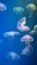Slow-moving flock of colorful jellyfish, blue background