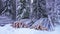 Slow pan forestry heavy machine and timber logging in snowy forest. Recently cut tree wooden logs piled up. Wood storage for
