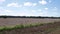 Slow pan of freshly plowed farmland in rural Hephzibah Georgia