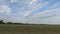 Slow pan of newly plant pecan trees and white stakes on farmland with cloudscapes in the summer