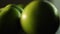 Slow panoramic shot of multiple green apples