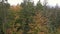Slow rising footage of aerial photography with drone in Bavarian forest over treetop forest with passing fog mist near Grafenau, G