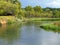 Slow River in Meadow with Trees