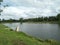 Slow river meandering winding grass and coconut tree