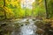 Slow stream in the green forest during summer in Sweden. selective focus, long exposure