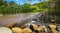 Slow stream of water pond surrounded by lush water vegetation and small rocks