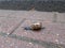 Slow traffic, a snail passing by on the sidewalk in the center of the town